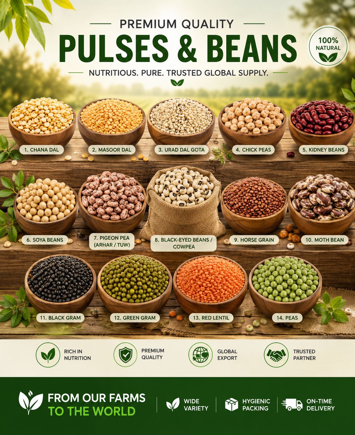 dal & pulses DIGNITAS INTERNATIONAL